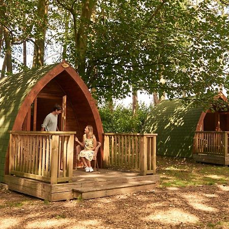 Pinewood - At Port Lympne Reserve 하이드 외부 사진