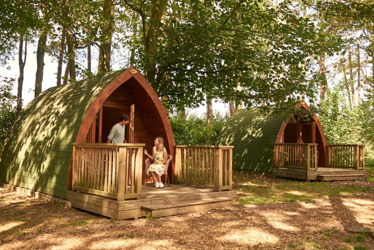 Pinewood - At Port Lympne Reserve 하이드 외부 사진
