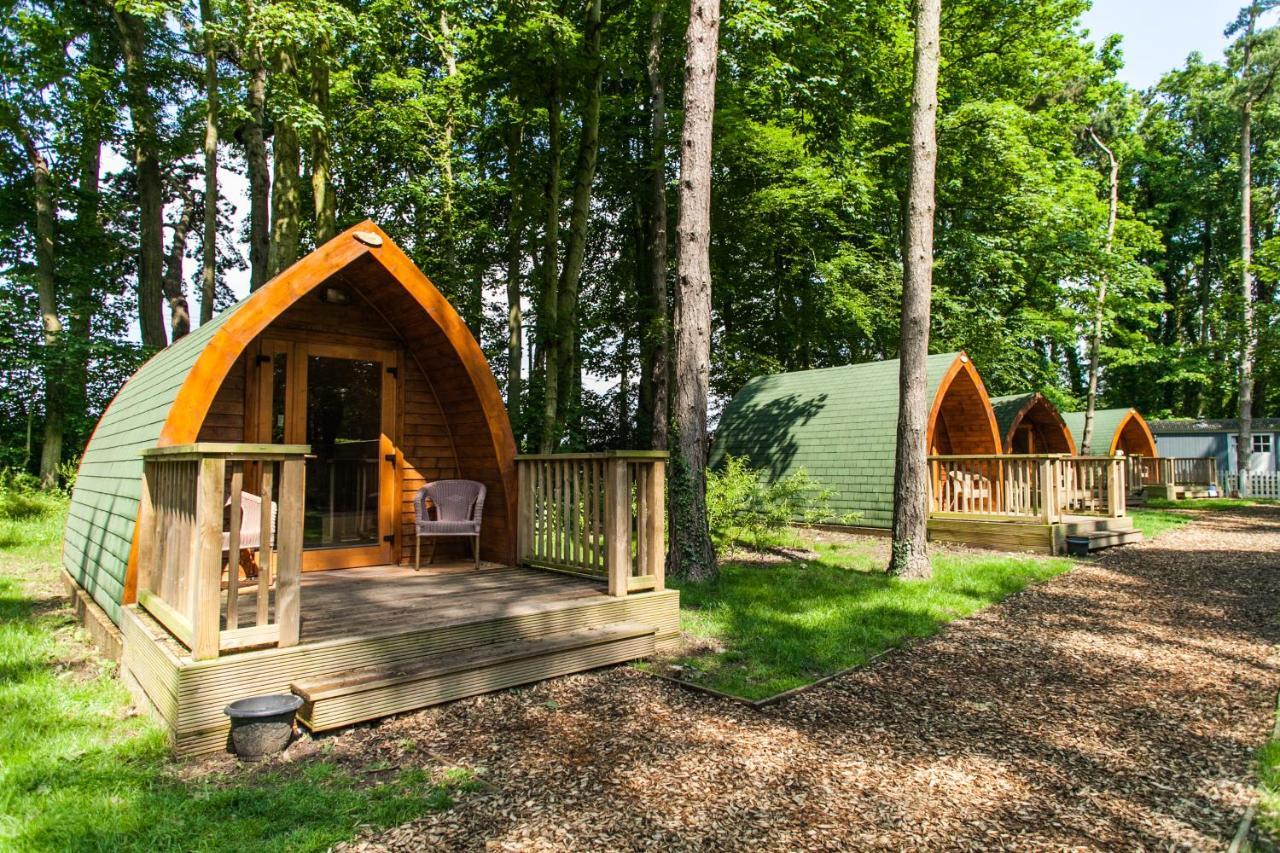 Pinewood - At Port Lympne Reserve 하이드 외부 사진